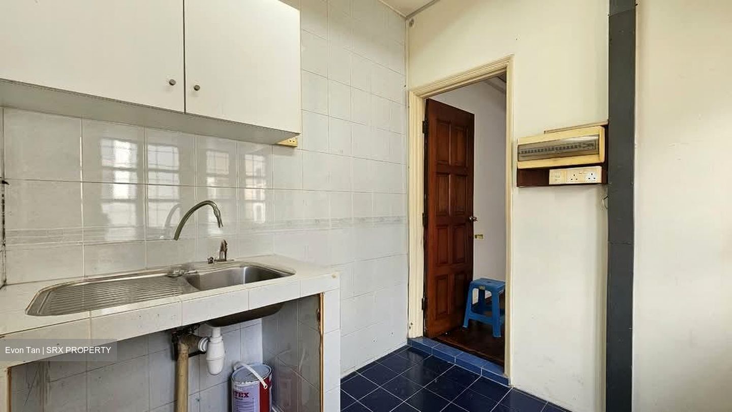 Trengganu Street (D1), Shop House #539954791